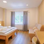 Guest house Harmony Javornik 3*