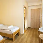 Harmony Javornik Guest house 3*