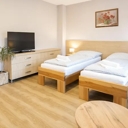 Guest house Harmony Javornik 3*