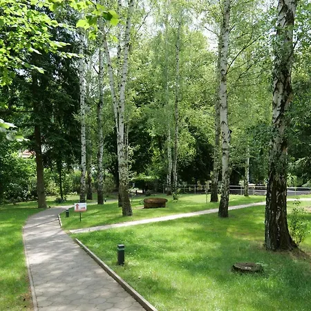 Harmony Javornik Ctyrkoly