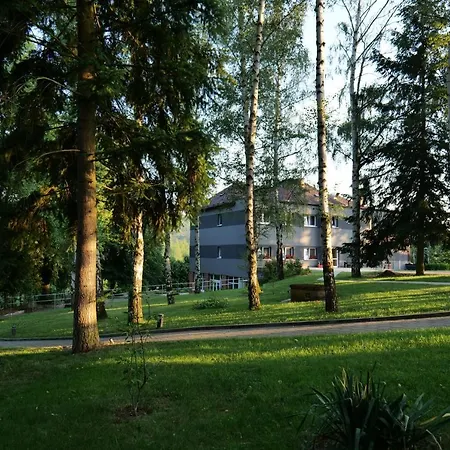 Harmony Javornik Ctyrkoly