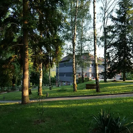 Harmony Javornik Ctyrkoly